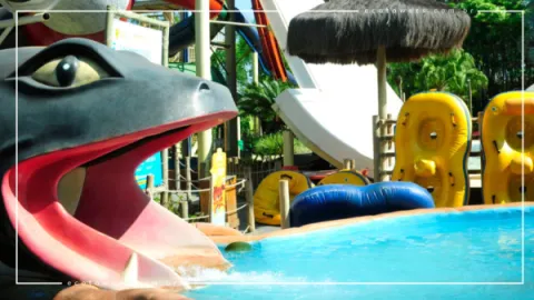 Coral Kids no Lagoa Termas Parque: Área Infantil