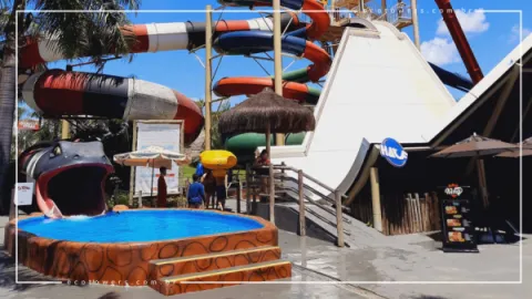 Coral Kids no Lagoa Termas Parque: Área Infantil