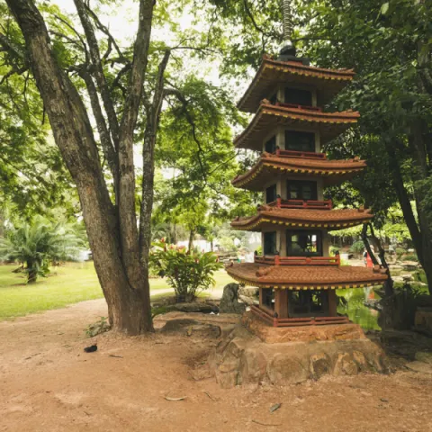 Foto demonstrativa de Jardim Japonês
