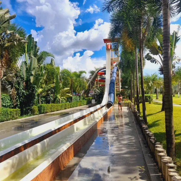 Foto demonstrativa de Gelei no Lagoa Termas Parque: Tobogã Radical