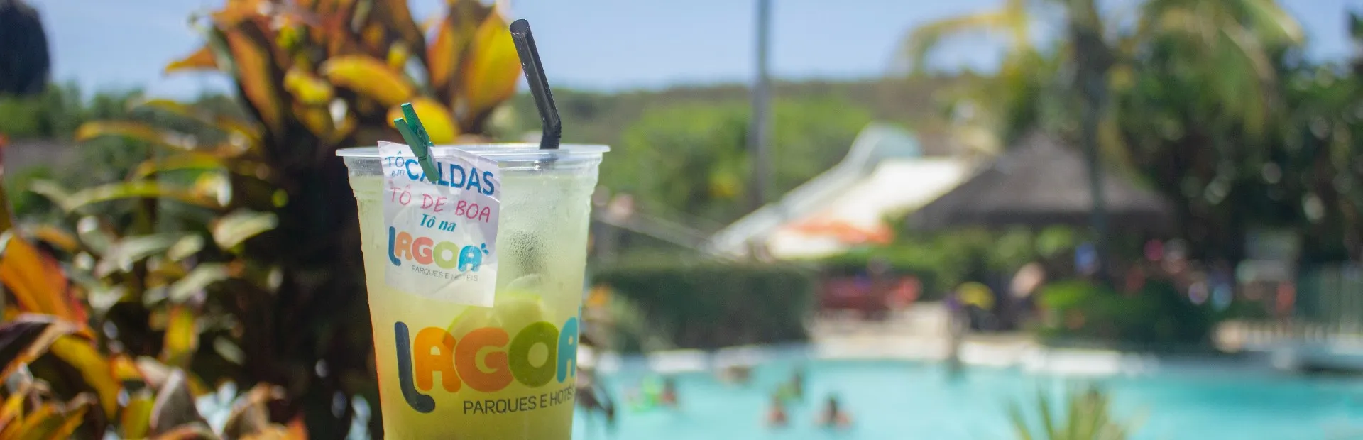 Oferta de Junho | Lagoa EcoTowers